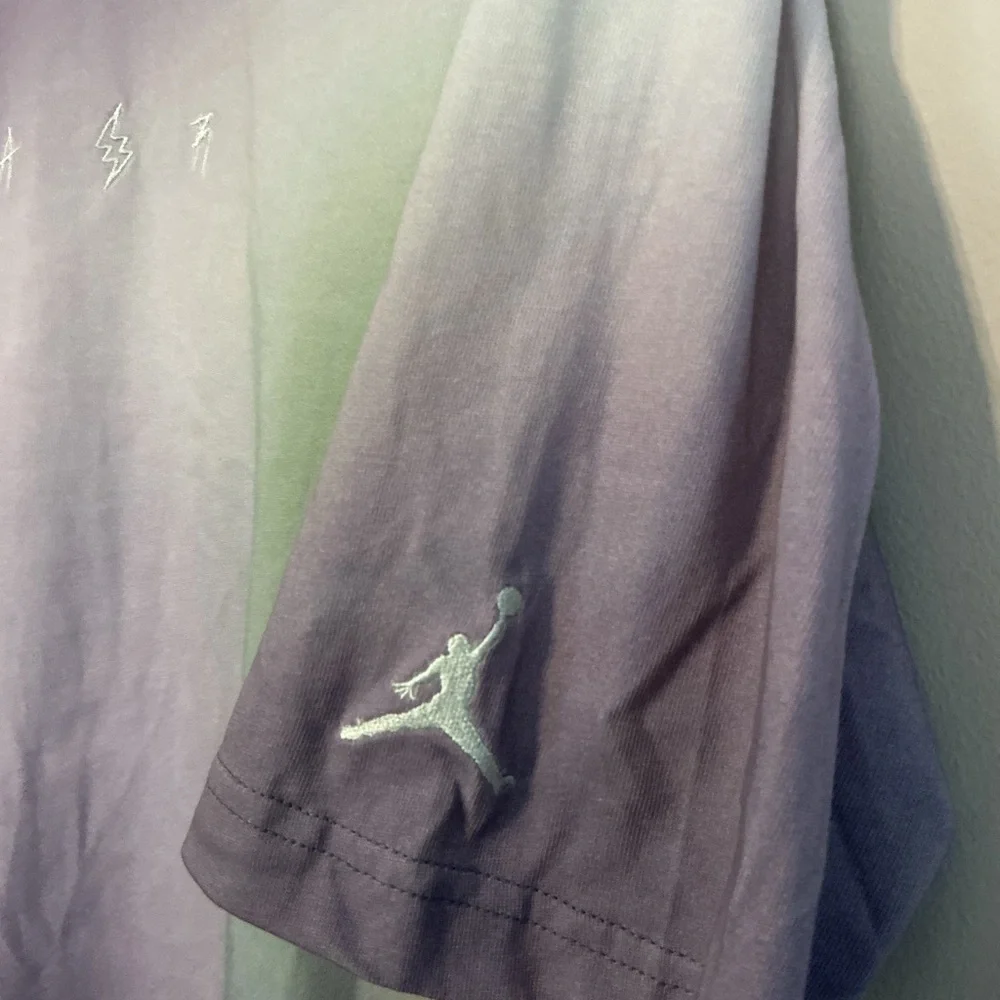 Jordan Purple and Green Gradient Men's T-Shirt